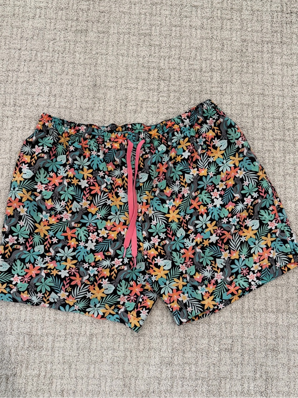 Men’s Chubbies Swim Shorts